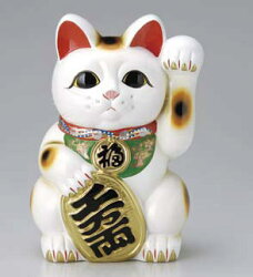 商売繁盛祈願！開店祝い等に 招き猫 白小判 左手 5号 貯金箱サイズ違い・色違いも取り揃えています かわいい 日本六古窯 常滑焼 国産 日本製 和食器