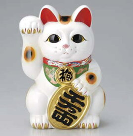 招き猫 白小判 右手 10号 貯金箱サイズ違い・色違いも取り揃えています かわいい 日本六古窯 常滑焼 国産 日本製 和食器