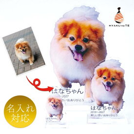 写真 アクスタ ペット位牌 名入れ ペット 切り抜き 文字入り うちの子アクスタ アクリルスタンド マイペット 猫 犬 鳥 インコ 動物 かわいい 誕生日 敬老の日 母の日 父の日 記念品 おすすめ プレゼント