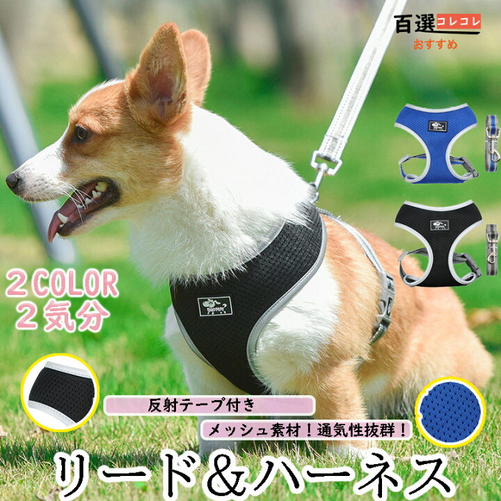 楽天市場 犬ハーネスリード一体型 秋冬適用メッシュ素材 通気性抜群 犬ベルト 中型犬小型犬 胴輪 ペット 服 百選コレコレ 楽天市場店