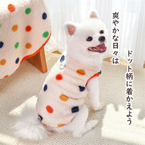    ̕ ~  H~ ^Ngbv _炩₢̗m Ȃ g ӂӂhbOEFA RR̕ ^^^ 2^Cv S-XXL