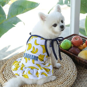  tĕ N[ 킢 hX ^Ngbv ^^p ȃhbNEFA  yA 2^Cv XS-XXL