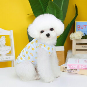 t ₢ 킢hbOEFA ȍ Ȃ N[ h 2J[ ^^^ 