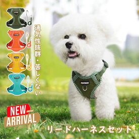 犬ハーネスリードセット 抜けない 着脱簡単 メッシュ素材 通気性抜群 蒸れない 気管負担が少ない 春夏秋冬用適 4カラー 2023新品