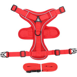 �L �n�[�l�X���[�h�Z�b�g ��ֈ��S���[�h ���p�ȒP �y�� ���킢���L�U���O�b�Y �T�C�Y�����x���g 4�J���[