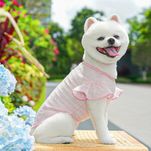  tėp ₷ ^Ngbv  킢 UVJbg 悯hbOEFA ^^^ 2J[