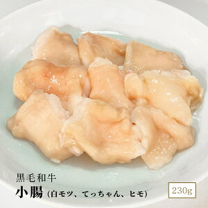 јa (cAĂAq) 230g fސHigC p 񂹃O