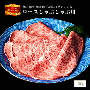 јa Ԑ [21v~A [XԂԗp(V[g) 400g t p 񂹃O