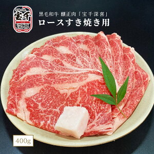 јa Ԑ [ [XĂp(V[g) 400g t p 񂹃O