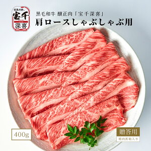 јa Ԑ [ [XԂԗp(V[g) 400g ܔ Mtg 񂹃O 蕨