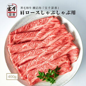 јa Ԑ [ [XԂԗp(V[g) 400g p 񂹃O