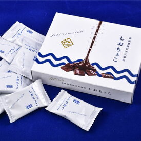 【石川 能登を応援しよう】Ante：塩とチョコの最高な出会い「しおちょこ　8個入」(夏季はクール冷蔵便)【送料無料ライン対象外】