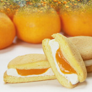 xٕ܁u։ӂZ N[ 10v ։݂ƃRVqJ̐▭ȃn[j[ GߏiN[Ⓚ