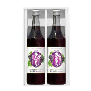 K{XunR̂ԂǂMtg J37v Yn}uhEʏ`100%W[X