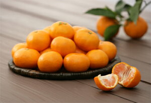 IBn̉uL@Lc݂3kgvÖƎ_aw݂̖̉xGߏi