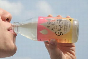 uIۂڂ Wakayama GingerAle 250ml 24{vp`̌WW[G[Fa̎R_Ƌg