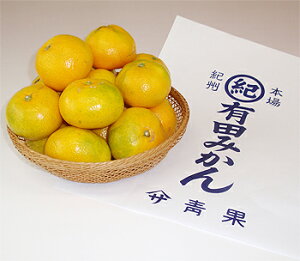 \t Lc݂10kgEG(2STCY)@v`}Tʁia̎Rj Gߏi