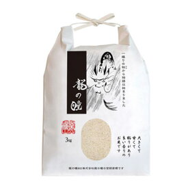 令和7年産 龍の瞳：岐阜県産(3kg)【送料無料ライン対象外】