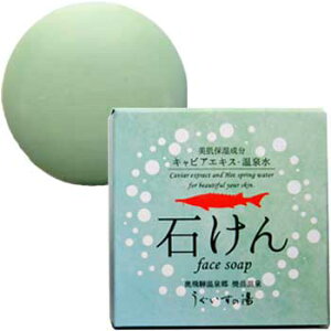 ˃K[fzeĊx:LrAGLXE򐅔z点u̓\[vCVv