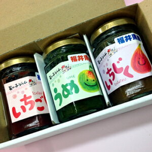 ׂ͂̉ƁF䌧Yɂu̎qW3Zbg(䕁E~E)v