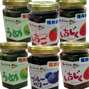 ׂ͂̉ƁF䌧Yɂu̎qW6Zbg(~E e2/䕁Eu[x[ e1)v