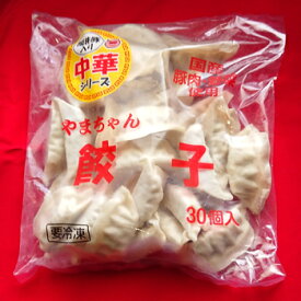 福井マルダイ食品「やまちゃん餃子　30粒×2Pセット」(クール冷凍便)