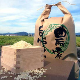 のじファーム：文殊のお米 令和5年産 福井県産コシヒカリ 健康7分搗き米 2kg精米