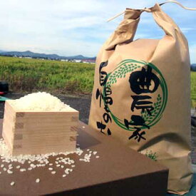 のじファーム：文殊のお米 令和5年産 福井県産コシヒカリ(精米 5kg)
