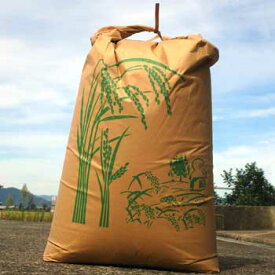 のじファーム：文殊のお米 令和5年産 福井県産コシヒカリ(玄米25kg)