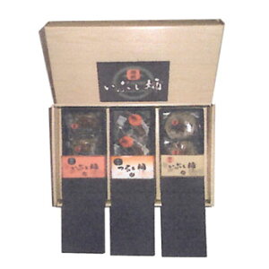 xFuTLEZbg 3×3lv邵`ƉzOԂ`(䌧Y)̋lߍ킹(CɂN[)yCΏۊOz