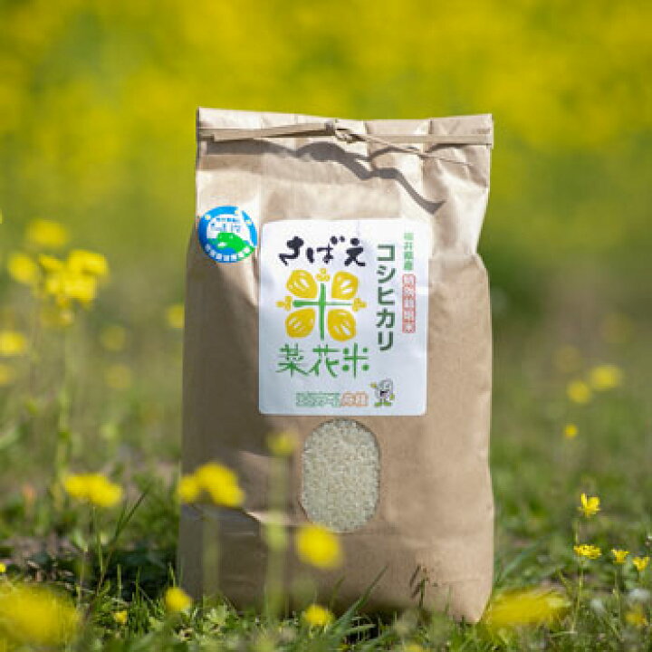 楽天市場 エコファーム舟枝 令和3年産 こだわりのコシヒカリ さばえ菜花米 5kg 福井県認証の特別栽培米 百選横丁 楽天市場店 楽天市場 エコファーム舟枝 令和3年産 こだわりのコシヒカリ さばえ菜花米 5kg 福井県認証の特別栽培米 百選横丁 楽天市場店