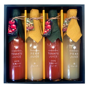 Jnn_̔_ƃJtFu䌧Y100ng}gƕ䌧ỸW[X300ml×4{Zbgv