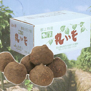 \t uۂ 5kgvꕽ̖LȓyƐɈ܂ꂽ˂΂˂ΎR Gߏi