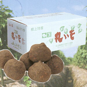 \t uۂ 10kgvꕽ̖LȓyƐɈ܂ꂽ˂΂˂ΎR Gߏi