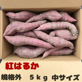 【石川 能登を応援しよう】宮崎農園「※規格外※紅はるか(さつまいも) 中　5kg」石川・金沢より直送 ※季節商品※