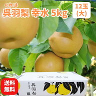 【送料無料】【令和8年分予約受付】梨 富山名産の呉羽梨「幸水 5kg・12玉(大)」三谷梨農園 農家直送 くれ…