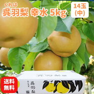 【送料無料】【令和8年分予約受付】梨 富山名産の呉羽梨「幸水 5kg・14玉(中)」三谷梨農園 農家直送 くれ…