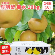 【送料無料】【令和8年分予約受付】梨 富山名産の呉羽梨「幸水 10kg・24玉(大)」三谷梨農園 農家直送 く…