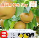 【送料無料】【令和7年分予約受付】梨 富山名産の呉羽梨「幸水 5...