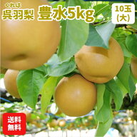 【楽天ランキング受賞】 【送料無料】【令和8年度予約受付】梨 富山名産の呉羽梨「豊水 5kg・10玉(大)」…