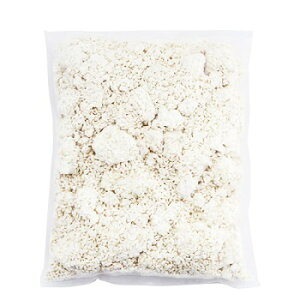 XݖuĂ()2vxRYĂŒOOɎ肵̂܂ӂ퐶I