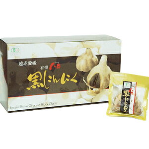 Ԑ`FnyuԈQЍɂɂ6v