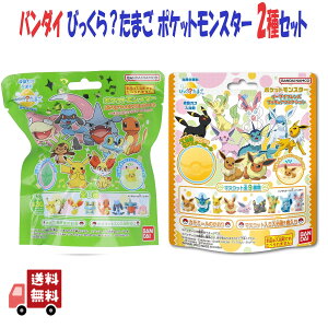 2Zbg тH܂ |PbgX^[ |PtBMARNV V{̂聕J~[̂ ki-1