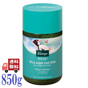 �N�i�C�v �o�X�\���g �X�[�p�[�~���g�̍��� 850g KNEIPP �~���g ������ �����g�[�� �� �N�i�C�v(KNEIPP) �N�[���_�E�� ������� �≖ ���C �n�b�J ���t���b�V�� ���� �����b�N�X
