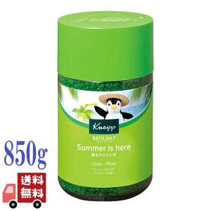 NiCv oX\g C~g̍ 850g KNEIPP   NiCv(KNEIPP) N[_E  ≖ C nbJ tbV  bNX ʌ