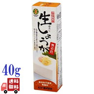 ムソー 旨味本来 生しょうが チューブ入り 40g 国産 生姜使用 無添加 着色料・香料不使用 生姜 チューブ …
