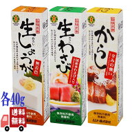 3種セット ムソー 旨味本来 生わさび・生しょうが・からし チューブ入り 各40g 国産素材 無添加 化学調味…