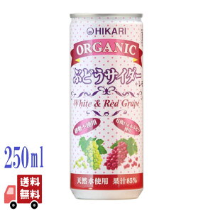 qJ I[KjbN ԂǂTC_[{ 250ml Y_ Y_ Hi O[vW[X ԂǂW[X Y