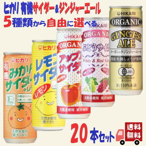 20{Zbg qJ 5ނ玩RɑIׂ TC_[ WW[G[ 250ml Y_ I[KjbN A\[g lߍ킹 Hi ʃW[X T[ Ē