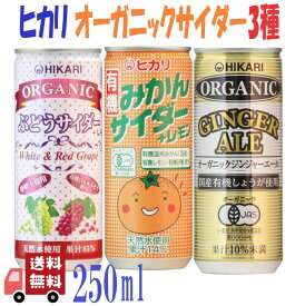 3種セット ヒカリ 有機サイダー3種( みかん ・ ぶどう ・ ジンジャーエール ) 250ml 炭酸飲料 オーガニック アソート 詰め合わせ 光食品 缶ジュース サワー 焼酎 プレゼント ギフト お中元 暑中見舞い